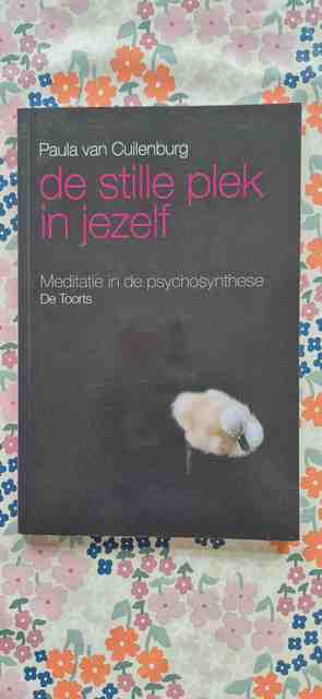 9789060208243-De-stille-plek-in-jezelf