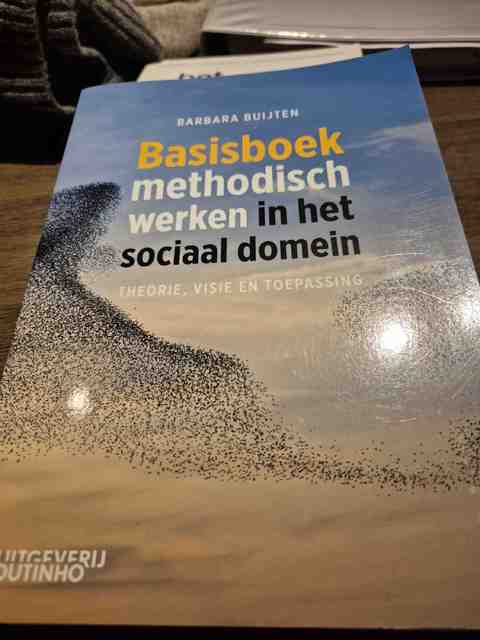 9789046908204-Basisboek-methodisch-werken-in-het-sociaal-domein