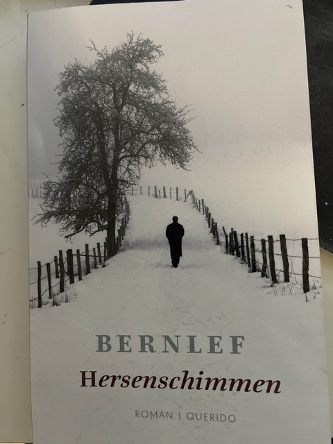 9789021440132-Hersenschimmen