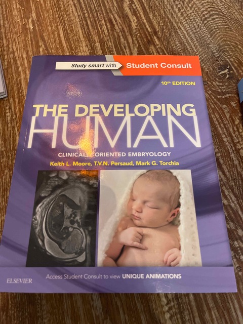 9780323313384-The-Developing-Human