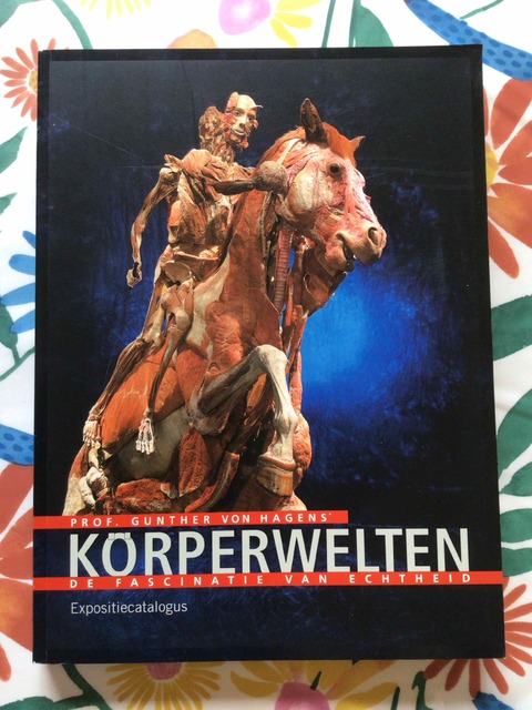 9783937256375-K%C3%83%C2%96RPERWELTEN