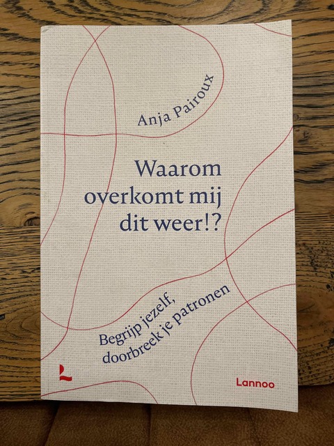 9789401474689-Waarom-overkomt-mij-dit-weer