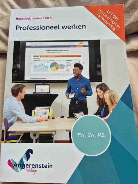 9789037254372-NIEUW-BOEK-Professioneel-werken
