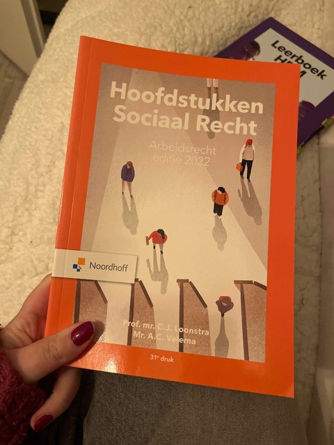 9789001299071-Hoofdstukken-sociaal-recht-2022
