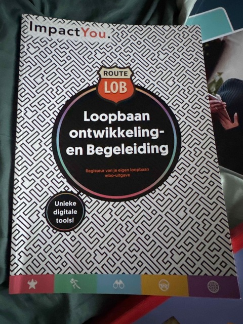 9789082584813-Loopbaanorientatie-begeleiding