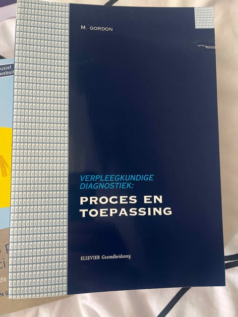 9789035217447-Verpleegkundige-diagnostiek