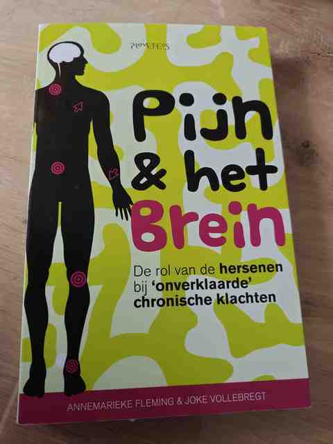 9789035144279-Pijn-het-brein