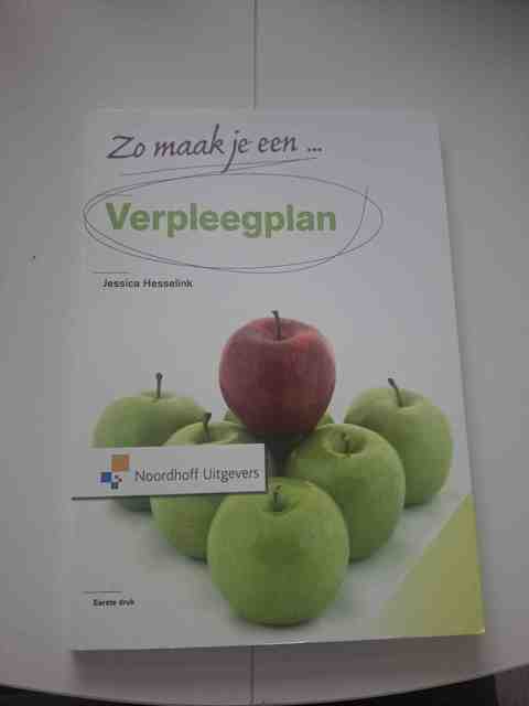 9789001804961-Zo-maak-je-een-verpleegplan