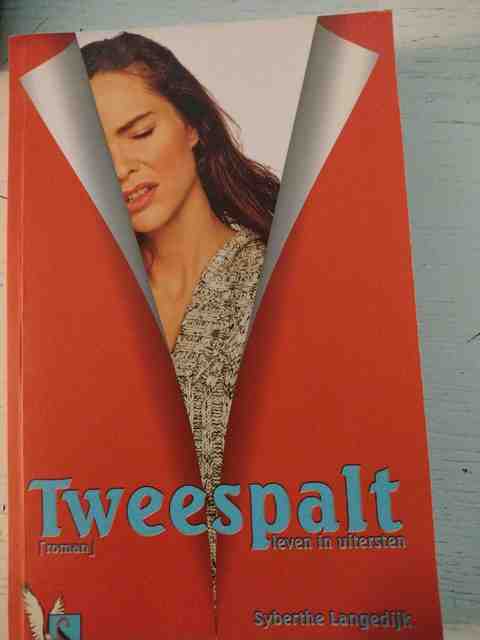 9789089730381-Tweespalt