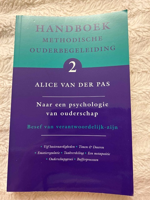 9789066657816-Handboek-Methodische-Ouderbegeleiding-2-naar-een-psychologie-van-ouderschap