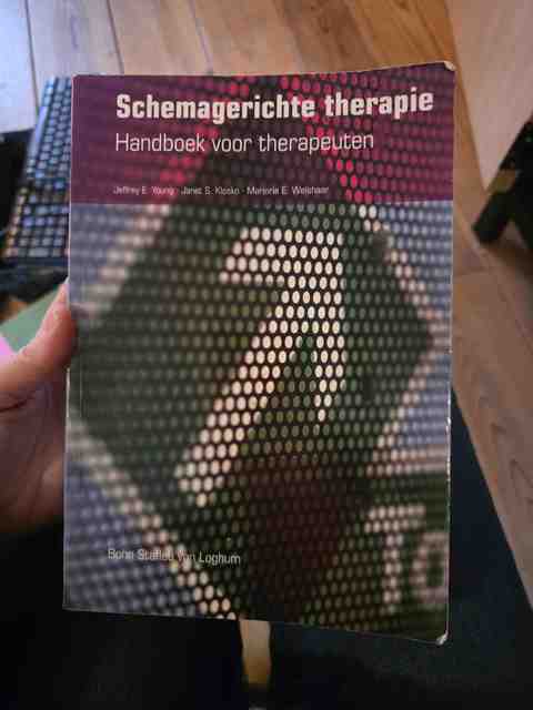 9789031343355-Schemagerichte-therapie