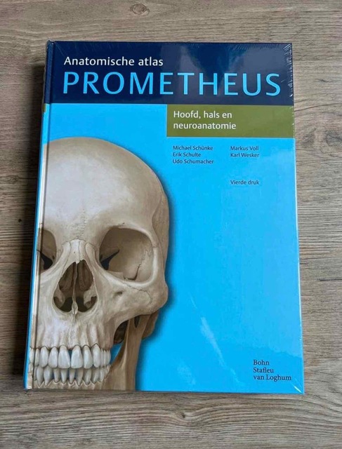 9789036816342-Hoofd-hals-en-neuroanatomie