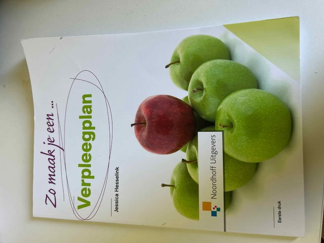 9789001804961-Zo-maak-je-een-verpleegplan