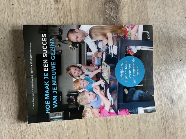 9789491806995-Hoe-maak-je-een-succes-van-je-nieuwe-gezin