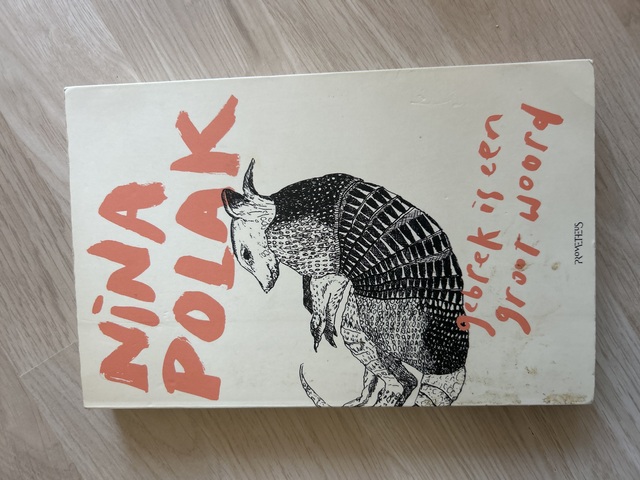 9789044629866-Gebrek-is-een-groot-woord