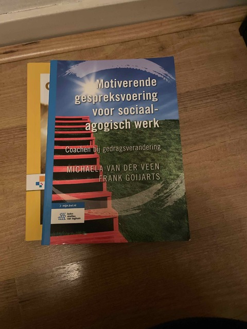 9789031392100-Motiverende-gespreksvoering-voor-sociaalagogisch-werk