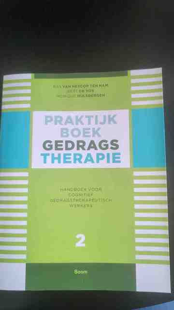 9789461054999-Praktijkboek-gedragstherapie-Deel-2-Handboek-voor-cognitief-gedragstherapeutisch-werkers