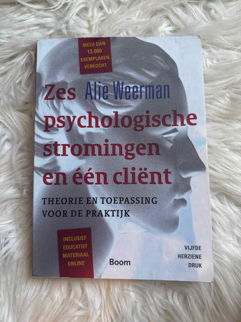 9789024402465-Zes-psychologische-stromingen-en-een-client