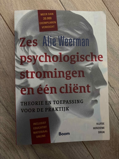 9789024402465-Zes-psychologische-stromingen-en-een-client