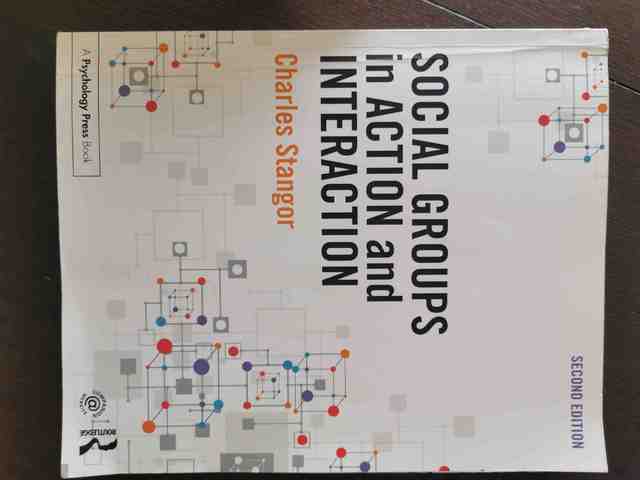 9781848726925-Social-Groups-in-Action-and-Interaction