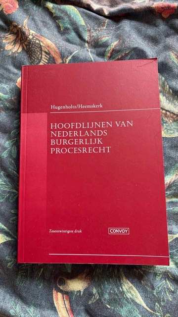 9789463173001-Hoofdlijnen-van-Nederlands-Burgerlijk-Procesrecht