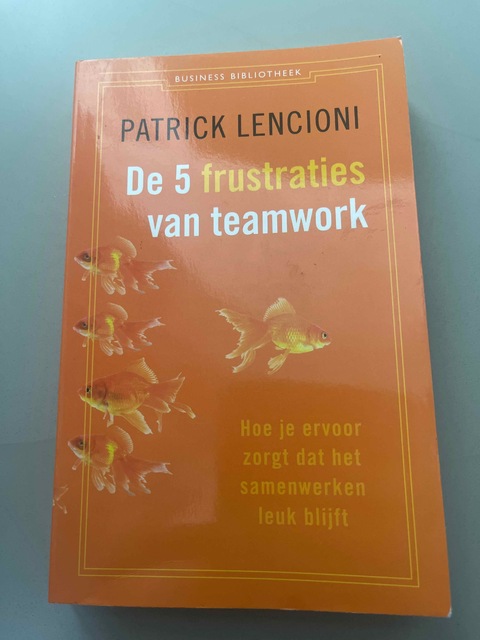 9789047001966-De-5-frustraties-van-teamwork