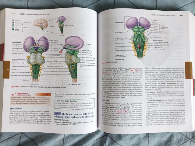 9781292421803-Human-Anatomy-Physiology-Global-Edition