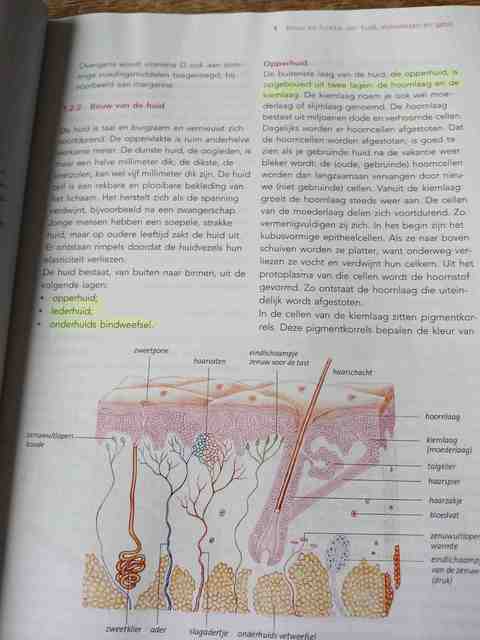 9789006910193-Traject-VV-Persoonlijke-basiszorg-1--niveau-3