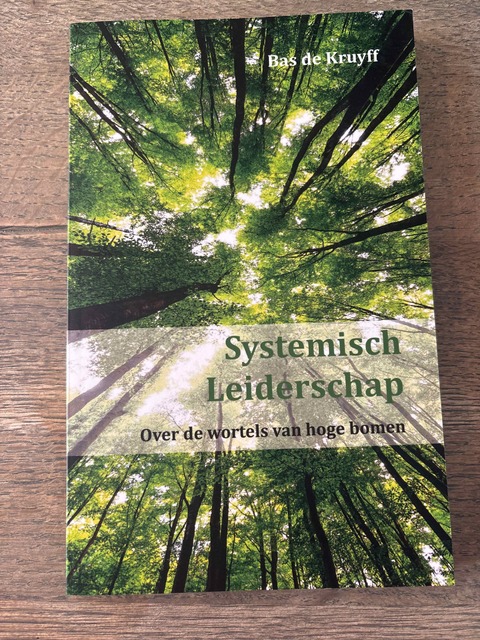 9789461938718-Systemisch-Leiderschap