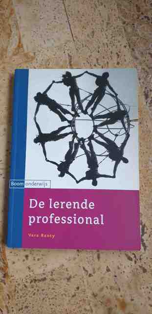 9789047300595-De-lerende-professional