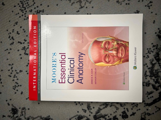 9781975114435-Moores-Essential-Clinical-Anatomy