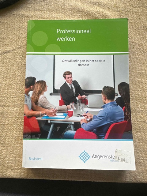 9789037223637-Professioneel-werken