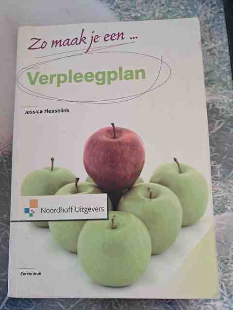 9789001804961-Zo-maak-je-een-verpleegplan