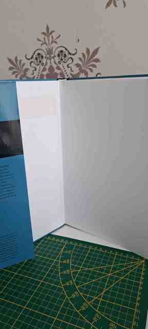 9789085620174-Porseleinen-facings