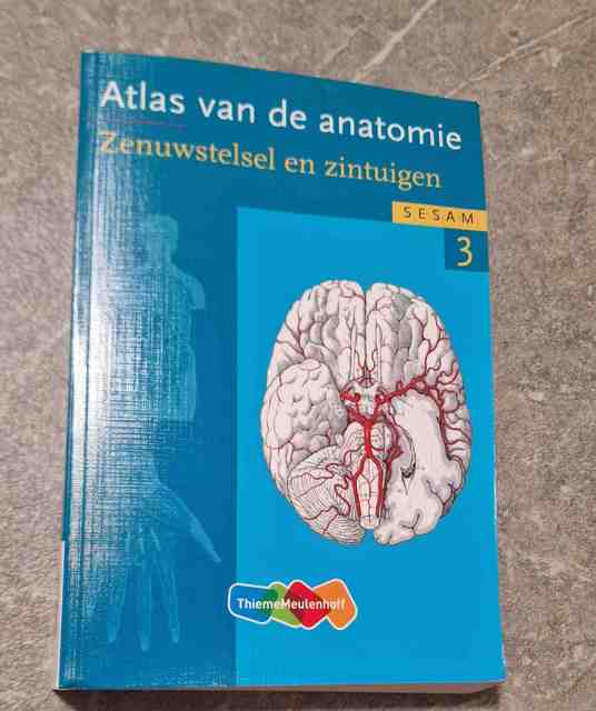 9789006952339-Atlas-van-de-anatomie-3-Zenuwstelsel-en-zintuigen