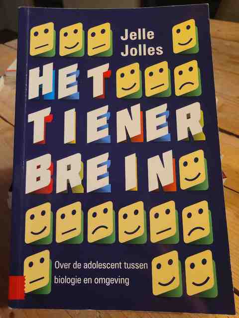 9789462983984-Het-tienerbrein
