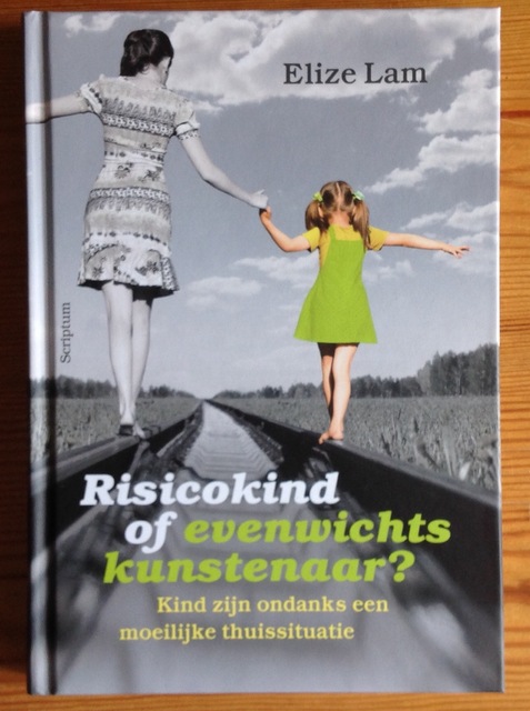 9789463190244-Risicokind-of-evenwichtskunstenaar