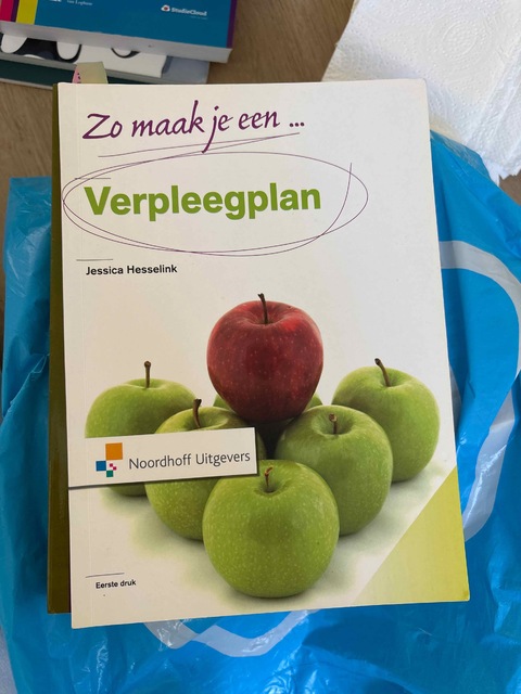 9789001804961-Zo-maak-je-een-verpleegplan