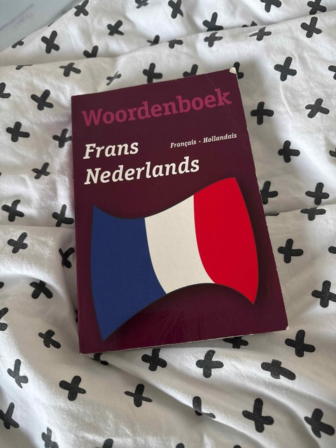 9789049102937-Woordenboek-Frans-Nederlands