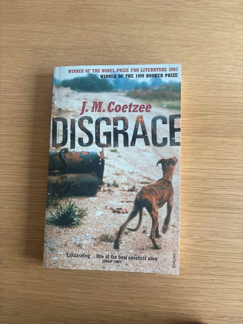 9780099289524-Disgrace