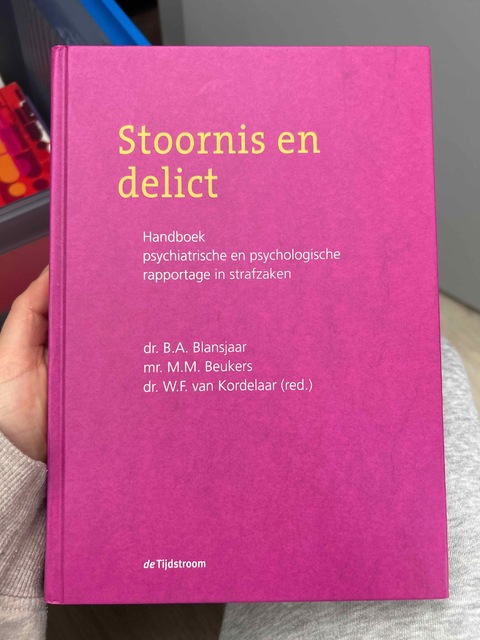 9789058981424-Stoornis-en-delict