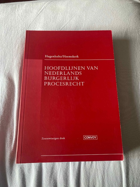 9789463173001-Hoofdlijnen-van-Nederlands-Burgerlijk-Procesrecht