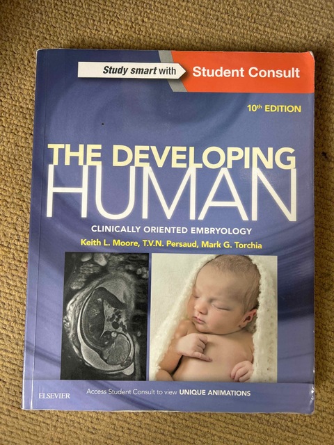 9780323313384-The-Developing-Human