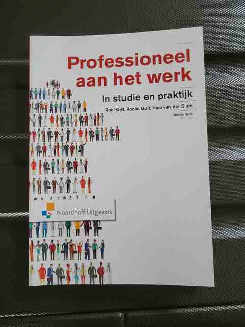 9789001853303-Professioneel-aan-het-werk