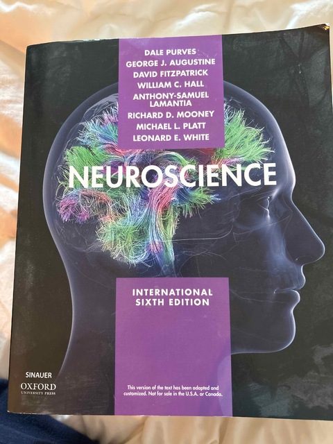 9781605358413-Neuroscience