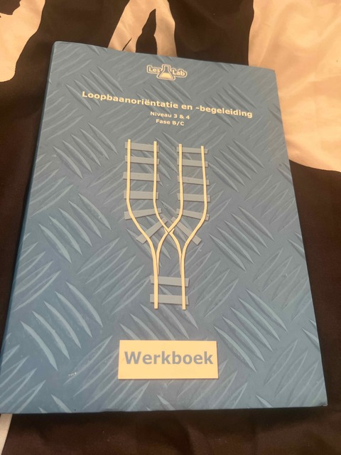 9789492667045-Loopbaanorientatie-en-begeleiding-niveau-3-4-Fase-B-Werkboek