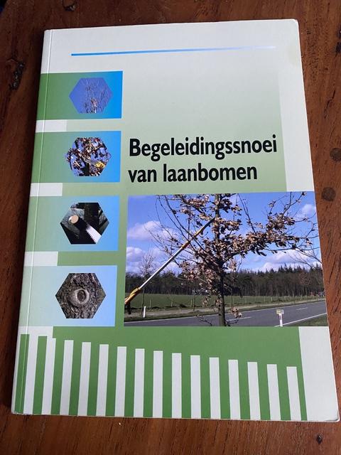 9789074481380-Begeleidingssnoei-van-laanbomen