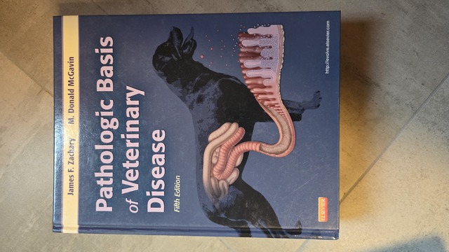 9780323075336-Pathologic-Basis-of-Veterinary-Disease
