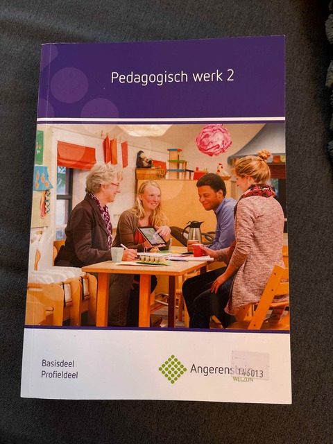 9789037229646-Pedagogisch-Werk-2-basisdeelprofieldeel