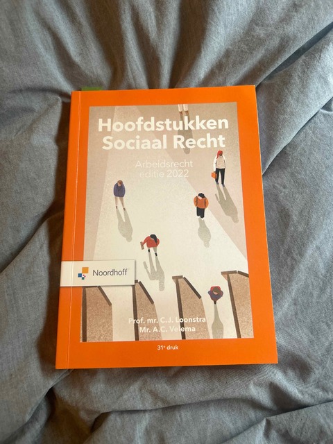 9789001299071-Hoofdstukken-sociaal-recht-2022